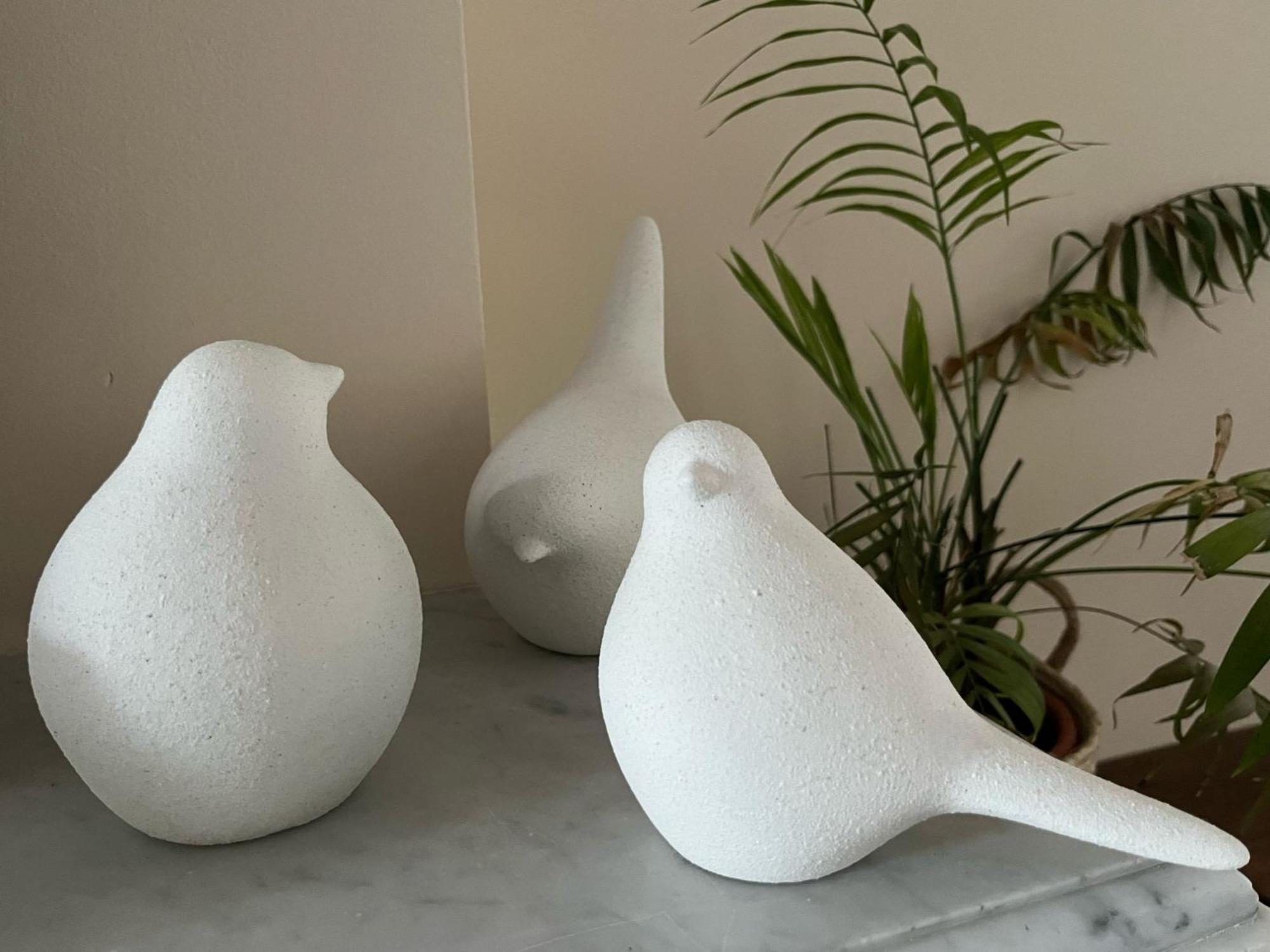 Apartment Charme 1